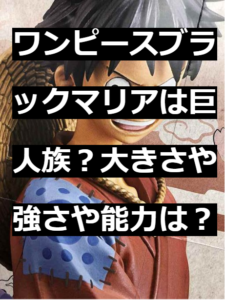 ワンピースブラックマリアは巨人族？大きさや強さや能力は？